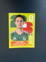 Panini FIFA World Cup Sticker MEX 12